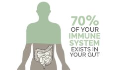 Top 10 Benefits of Bioceuticals Ultrabiotic 500 for Gut Health and Immunity