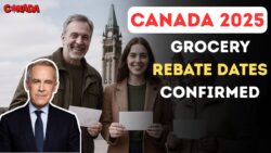 CRA Issue Canada Grocery Rebate in November 2025 – New payment dates for Recipients and Eligibility Details