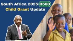 SASSA Child Support Grant November update – Publishes R560 payment tracking details for all recipients