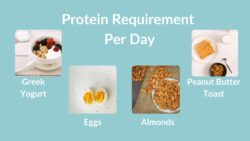 How Much Protein Do Aussies Really Need? A Beginner’s Guide for 2025