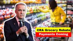 CRA issues payment calendar for Grocery Rebate November 2025 – Direct deposit, Who Qualifies and When to Expect Funds