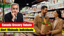 Canada Updated Grocery Rebate Policy for November 2025 – New payment listing, Eligibility & Full Schedule Out