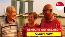 Treasury to Disburse $1,080 to Older Singaporeans in November 2025 – Eligibility and Application end 15 Nov